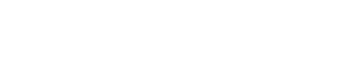 eCourt AI